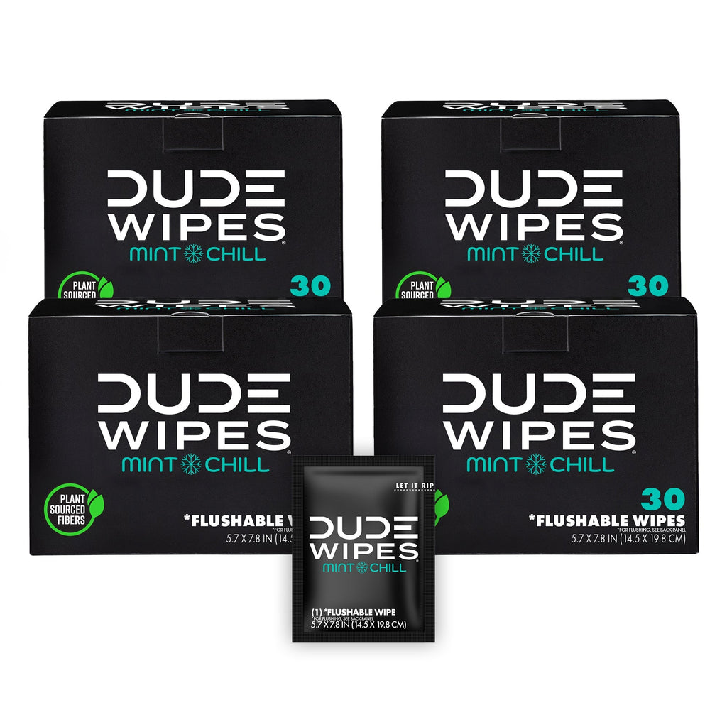 TRAVEL WIPES