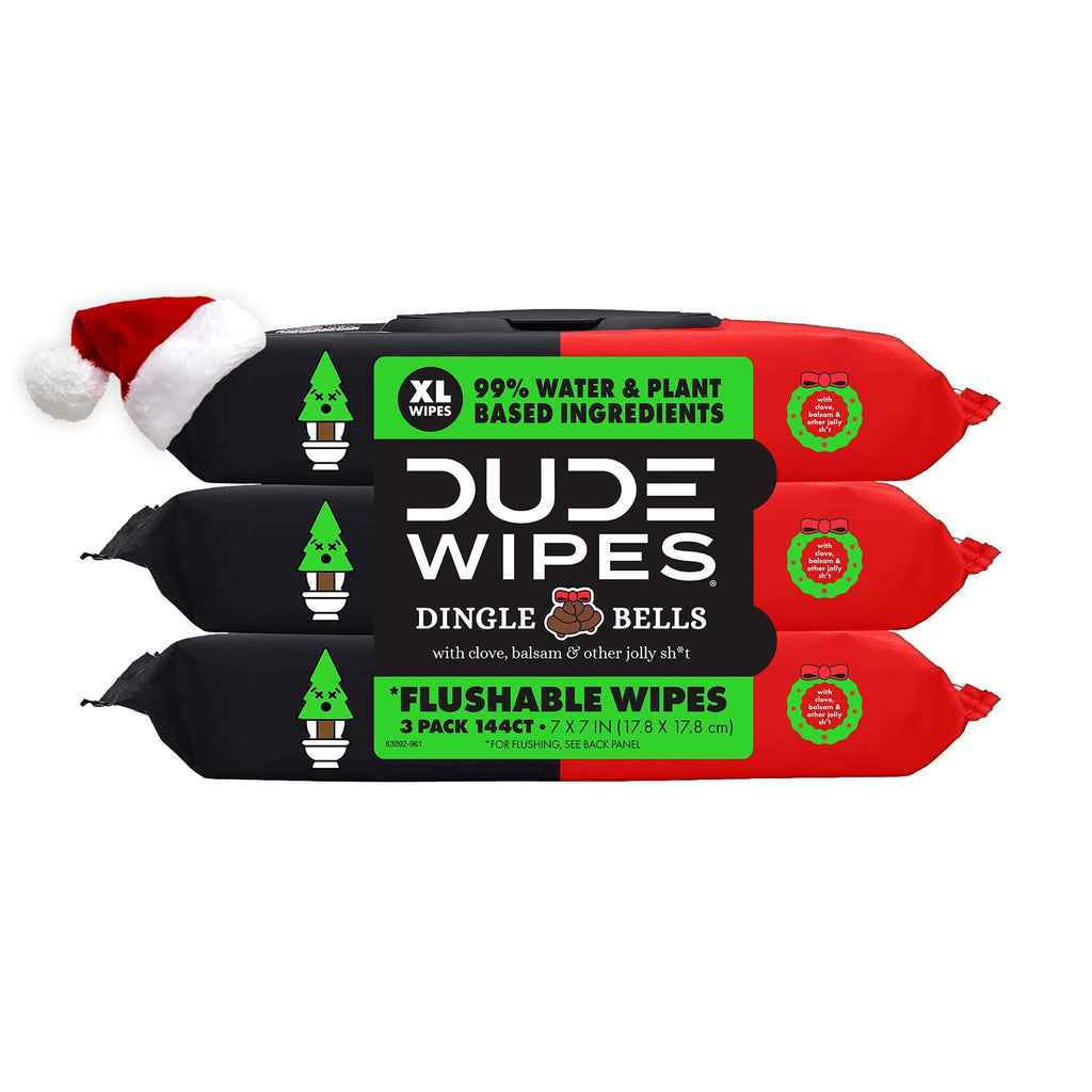 DUDE WIPES
