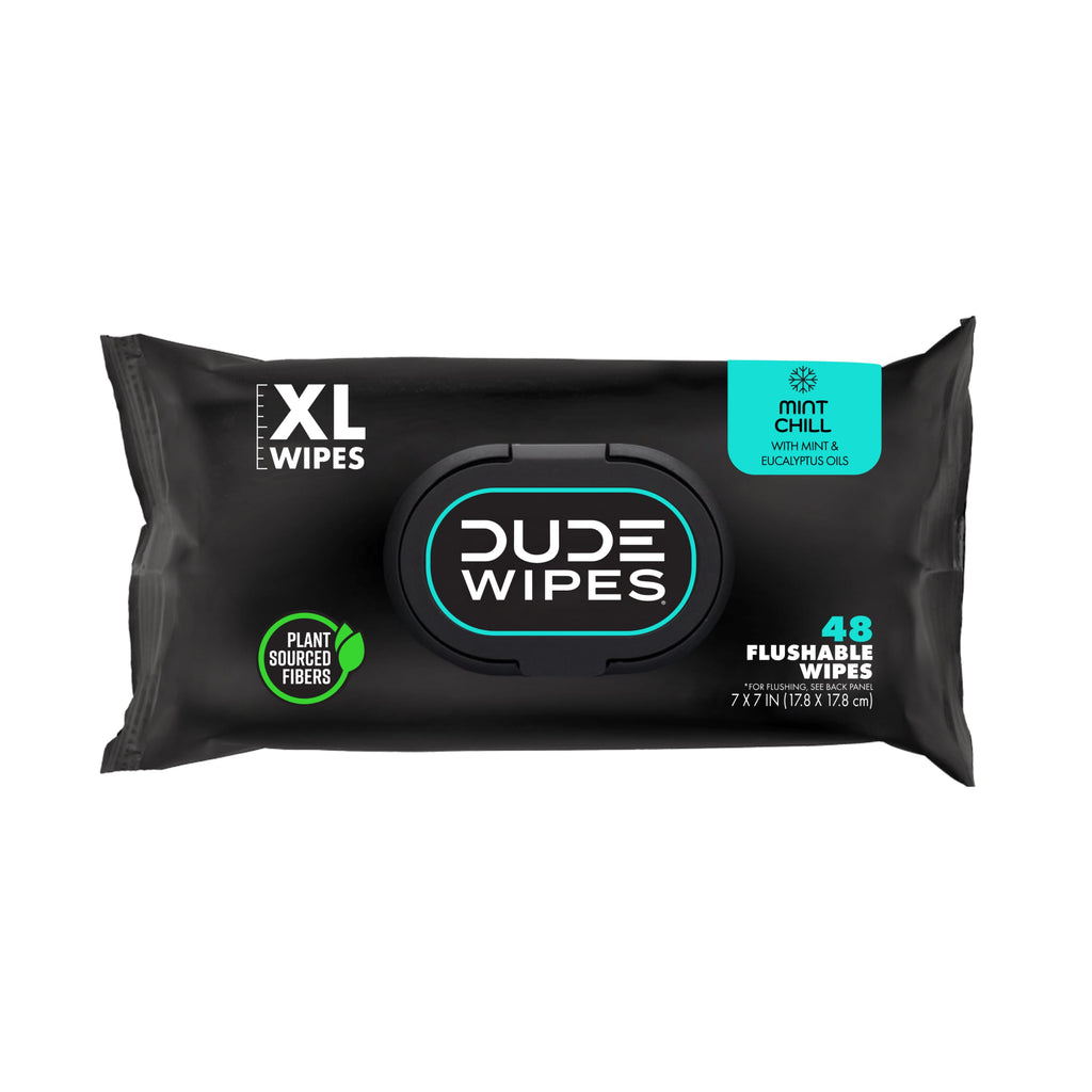 DUDE WIPES